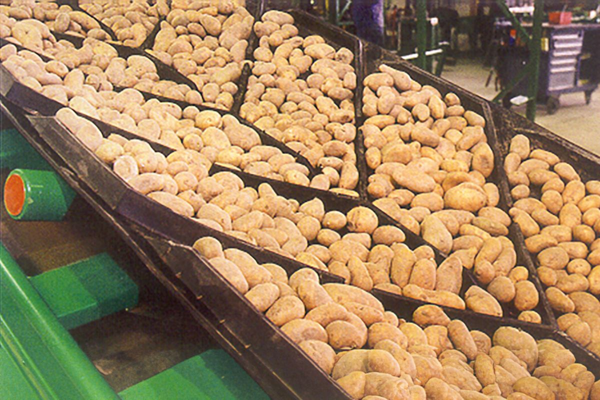 chevron banden voor aardappelen