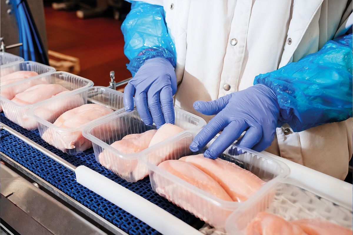 Schakelbanden voor kip packaging