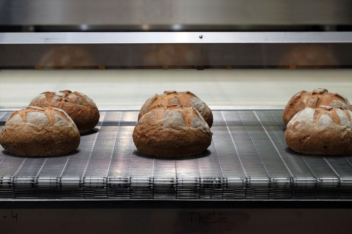 bakkerijindustrie Metaalgaasbanden
